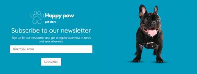 Example of a static form placed in the footer of the website.