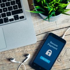 AdobeStock_95004106.jpeg